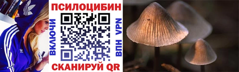Псилоцибиновые грибы Psilocybine cubensis  где продают   Заозёрск 